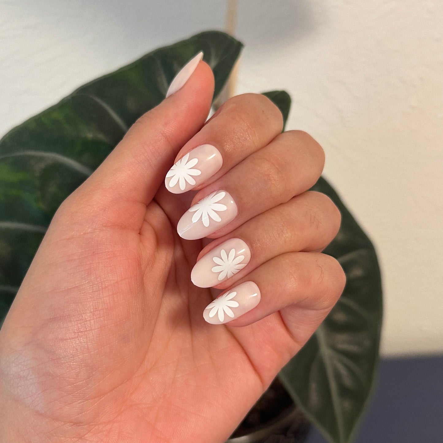 Daisy Pop | Medium | Oval - Tab Press-On
