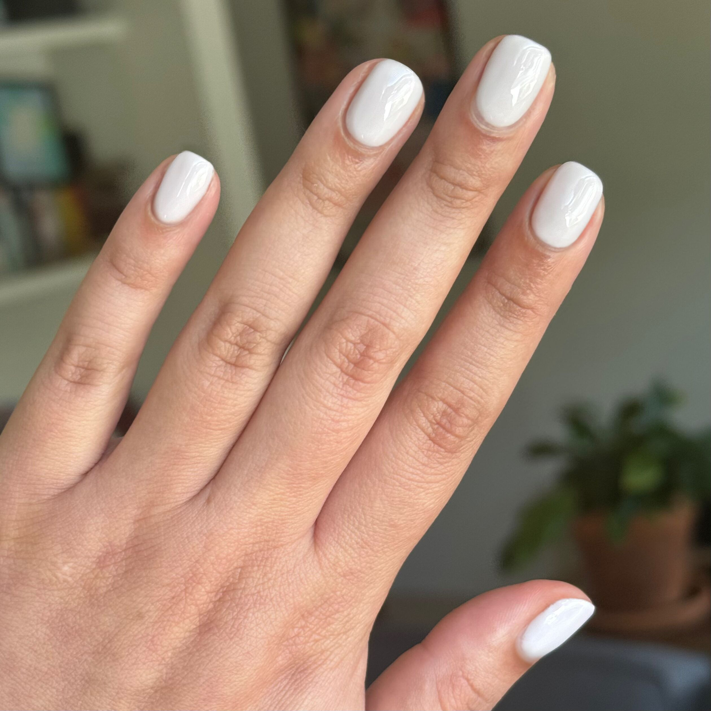 Sculpture Wing - Gel