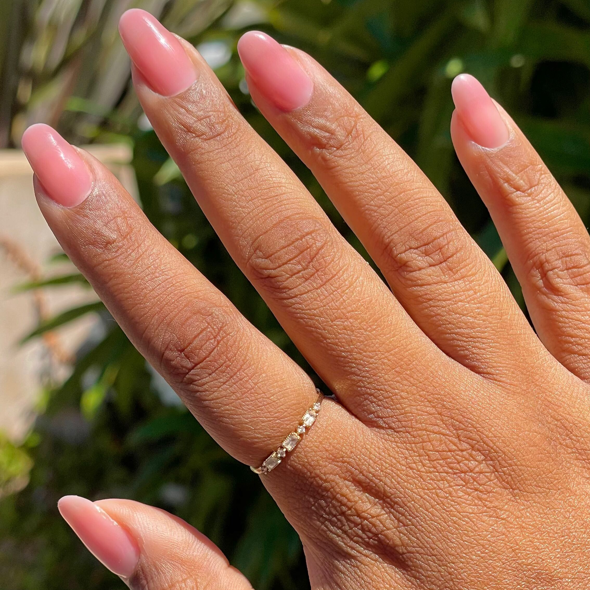 Blush Jelly - Builder Gel
