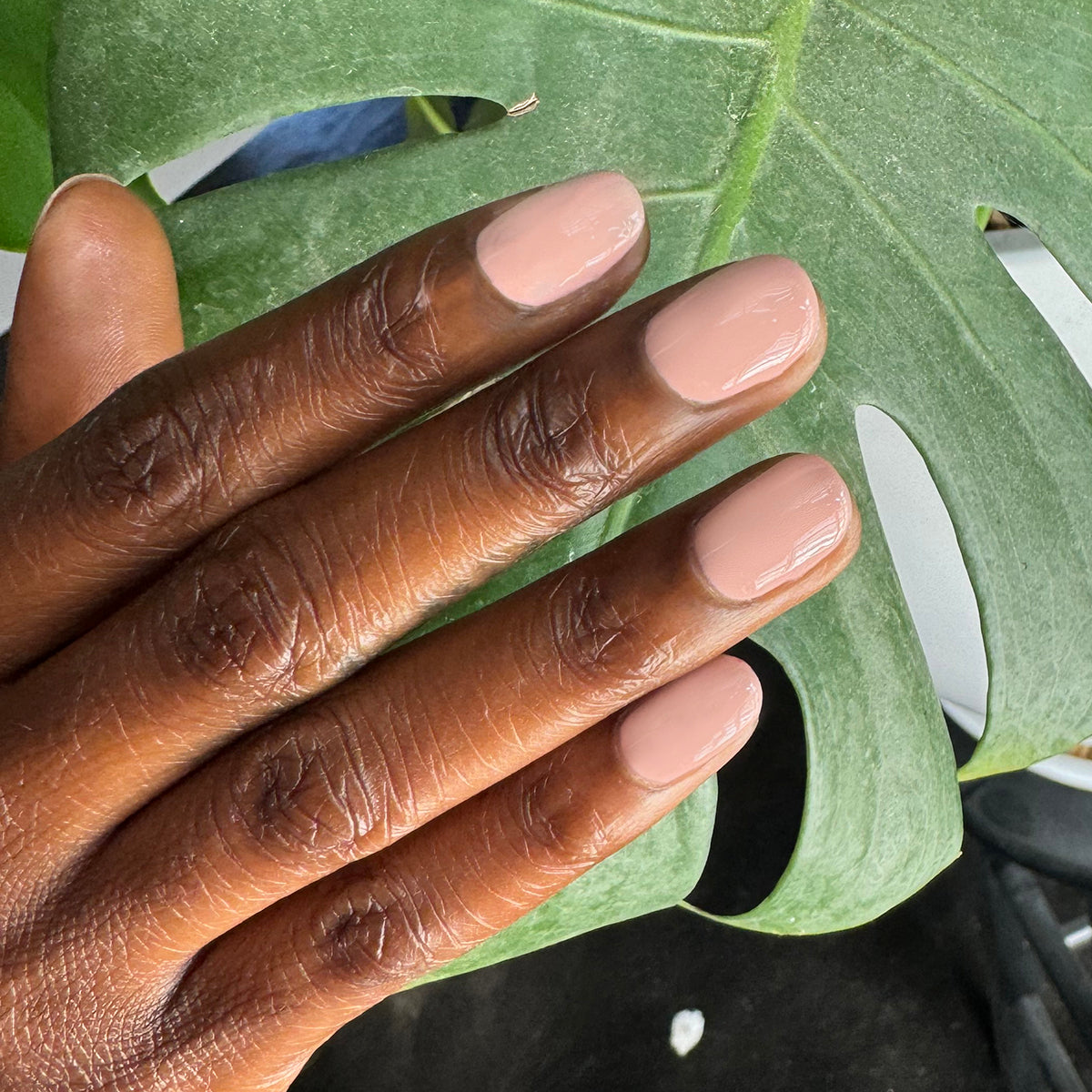 Sheer & Neutral Gel Polish Set