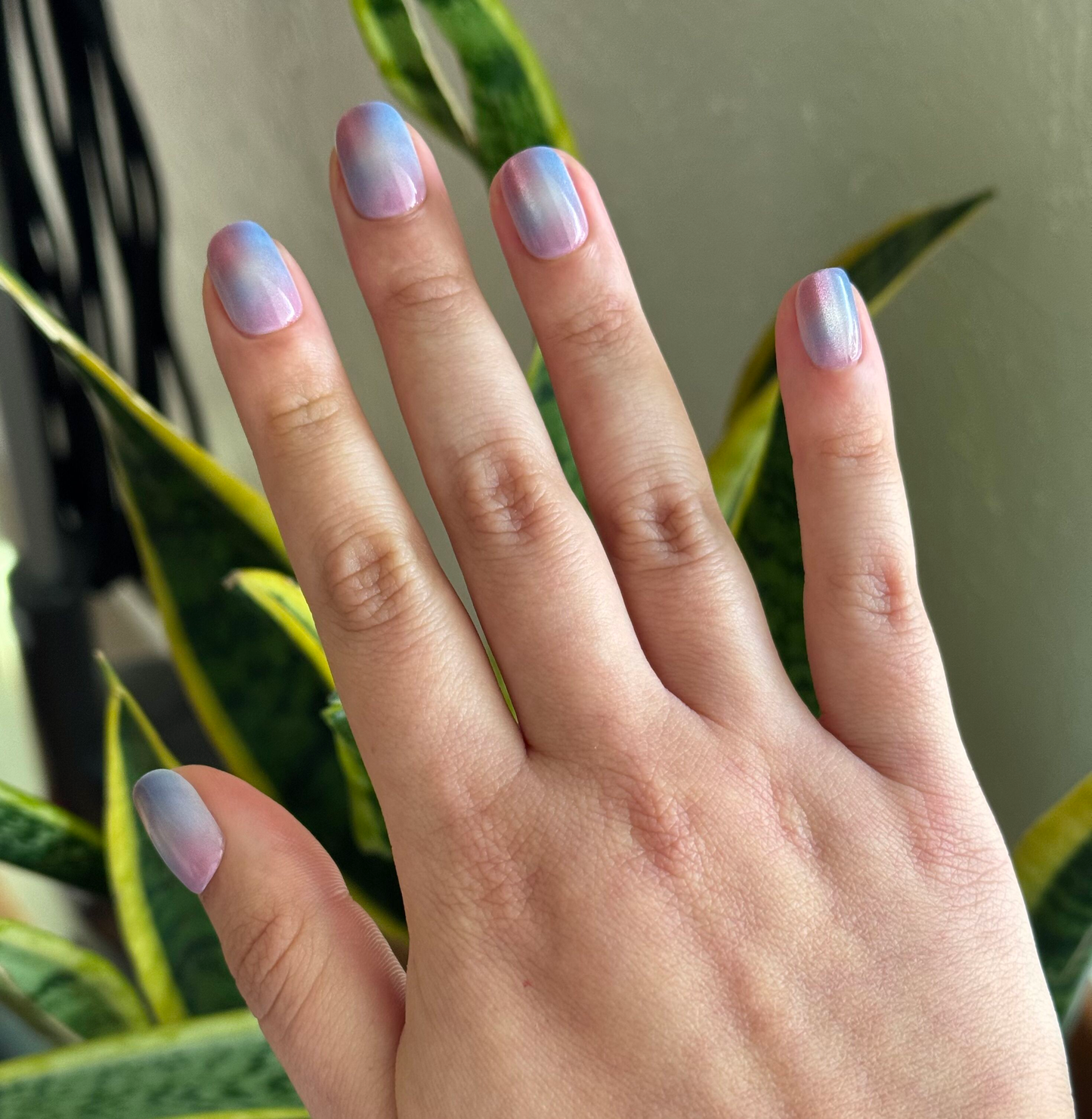 Fairy Velvet | Extra Short | Squoval - Tab Press-On